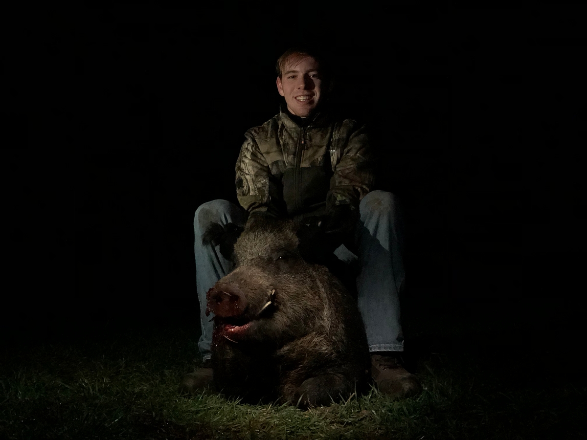 Big Texas Boar